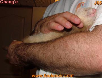 furetons bébés à J65