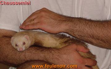 furetons bébés à J68