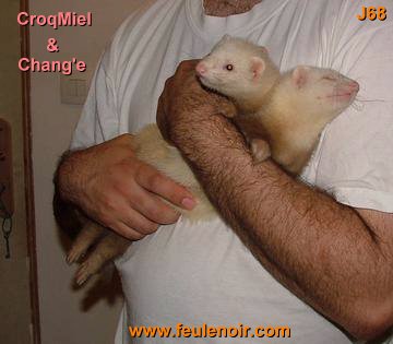 furetons bébés à J68