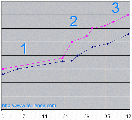 courbe de la prise de poids d'une furette durant la gestation