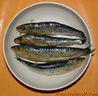 sardines. Le furet peut manger du poisson mais attention à la thiaminase contenue dans les viscères des sardines.